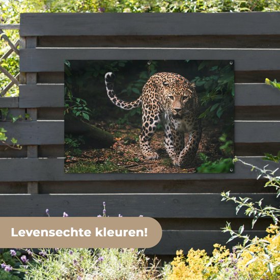 Affiche de jardin - Toile de jardin - Posters de jardin extérieur - Animaux sauvages - Léopard - Jungle - Nature - 120x80 cm - Jardin