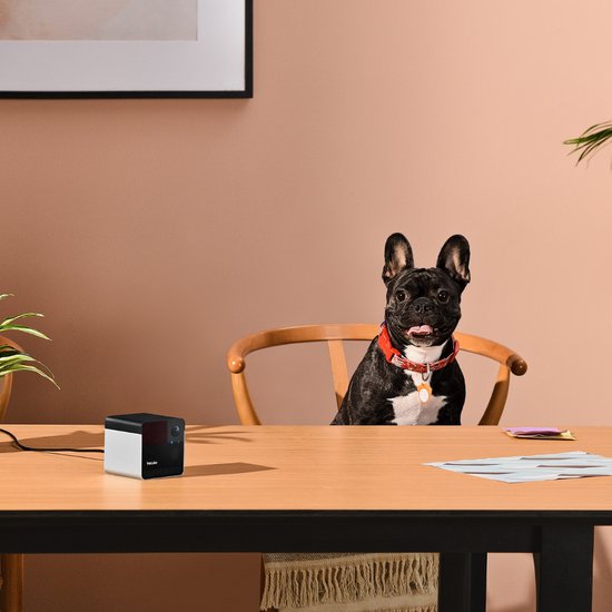 Petcube Play 2 Wi-Fi Pet Camera with Laser van Petcube — afbeelding 4