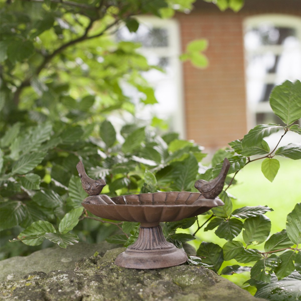 Best For Birds van Best for Birds — cadeau in Wonen & Interieur - foto 8