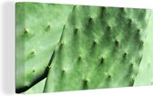 Tableau sur toile Cactus de Barbarie feuille vert menthe - 40x20 cm - Décoration murale
