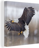 Canvas Schilderij Vogel - Zeearend - Vleugel - 20x20 cm - Wanddecoratie