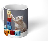 Mok - Een kitten speelt met gekleurde blokken - 350 ML - Beker