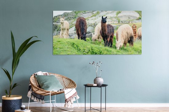 Tableau sur Toile Alpaga - Berg - Herbe - 160x80 cm - Décoration murale