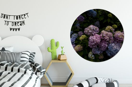 WallCircle - Cercle mural - Cercle mural - Arbustes fleuris d'hortensias au jardin - Aluminium - Dibond - 140x140 cm - Intérieur et extérieur