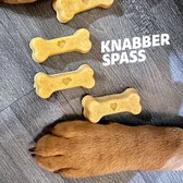 Collory-siliconen bakmat-hondenkoekjes- hondenkluif- Grote botten-Turquoise