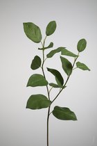 Kunsttak - limoenblad - topkwaliteit decoratie - 2 stuks - zijden bladeren - Groen - 91 cm hoog