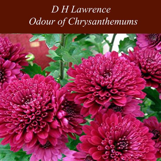 Odour of Chrysanthemums - cover