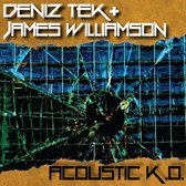 Deniz Tek & James Williamson - Acouistic K.O. (10" LP)