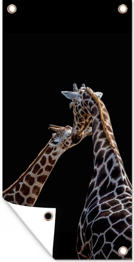Tuinposter Moeder en baby giraffe voor zwarte achtergrond - 30x60 cm - Tuindoek - Buitenposter