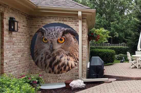 Cercle de jardin A close-up of a brown owl - 150x150 cm - Affiche de jardin ronde - Extérieur