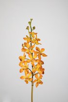 Kunstbloem - set van 2  - vanda orchidee - decoratieve tak -  70 cm - oranje