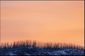 Walljar - Pastel Zonsopkomst - Muurdecoratie - Poster