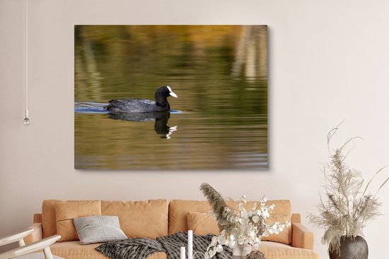 Tableau sur toile Foulque dans l'eau - 160x120 cm - Décoration murale XXL