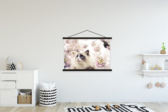 Affiche textielposter Un chat Ragdoll parmi les fleurs roses 120x80 cm