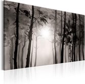 Schilderij - Foggy Forest.