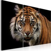 Schilderij - A wild tiger.