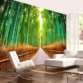 Zelfklevend fotobehang - Bamboo Forest.