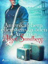 Boek cover Amerikafebern eller Svenska öden i Amerika van Algot Sandberg