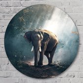 Olifant in het bos - 100 cm Aluminium Muurcirkel - Dieren - Wanddecoratie - Rond Schilderij - Wandcirkel