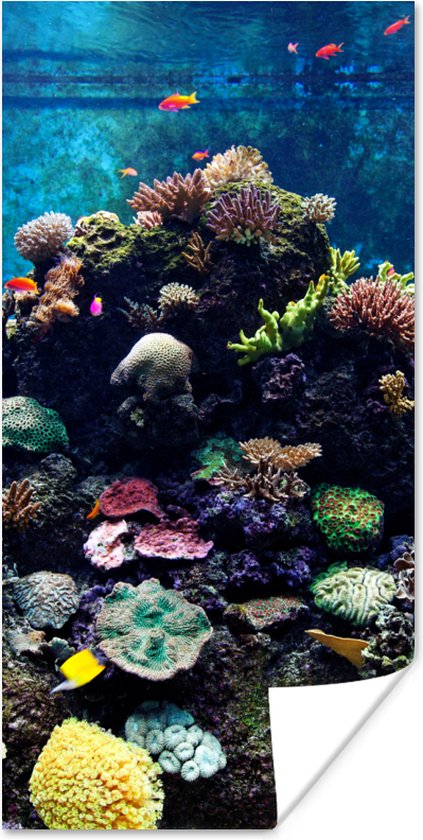 Poster Aquarium met tropische vissen en koralen - 40x80 cm