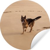 WallCircle - Muurstickers - Behangcirkel - Duitse Herder is aan het spelen op het strand - 100x100 cm - Muurcirkel - Zelfklevend - Ronde Behangsticker XXL