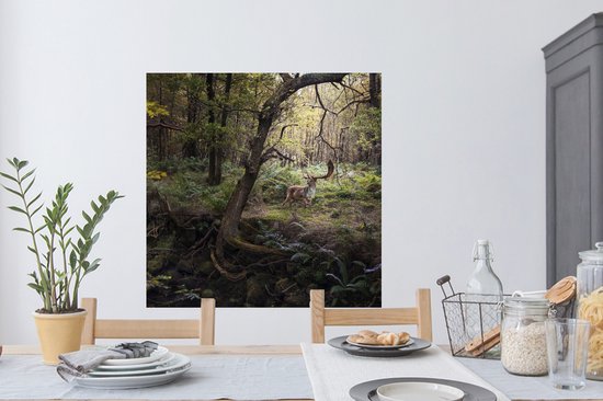 Stickers Stickers muraux - Animal de la forêt - Cerf - Soleil - 100x100 cm - Feuille adhésive XXL