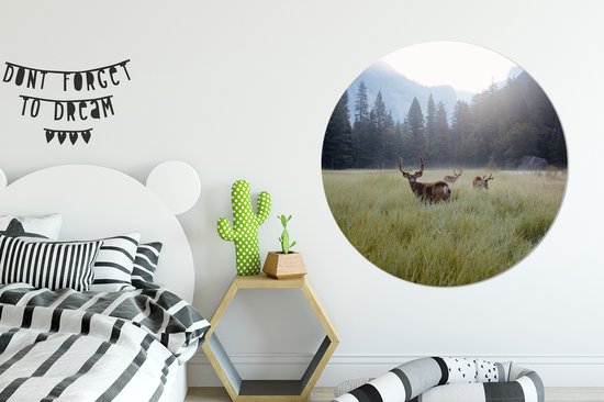 WallCircle - Stickers muraux - Cercle Papier Peint - Forêt - Cerf - Brouillard - 120x120 cm - Cercle Mural - Auto Adhésif - Sticker Papier Peint Rond XXL