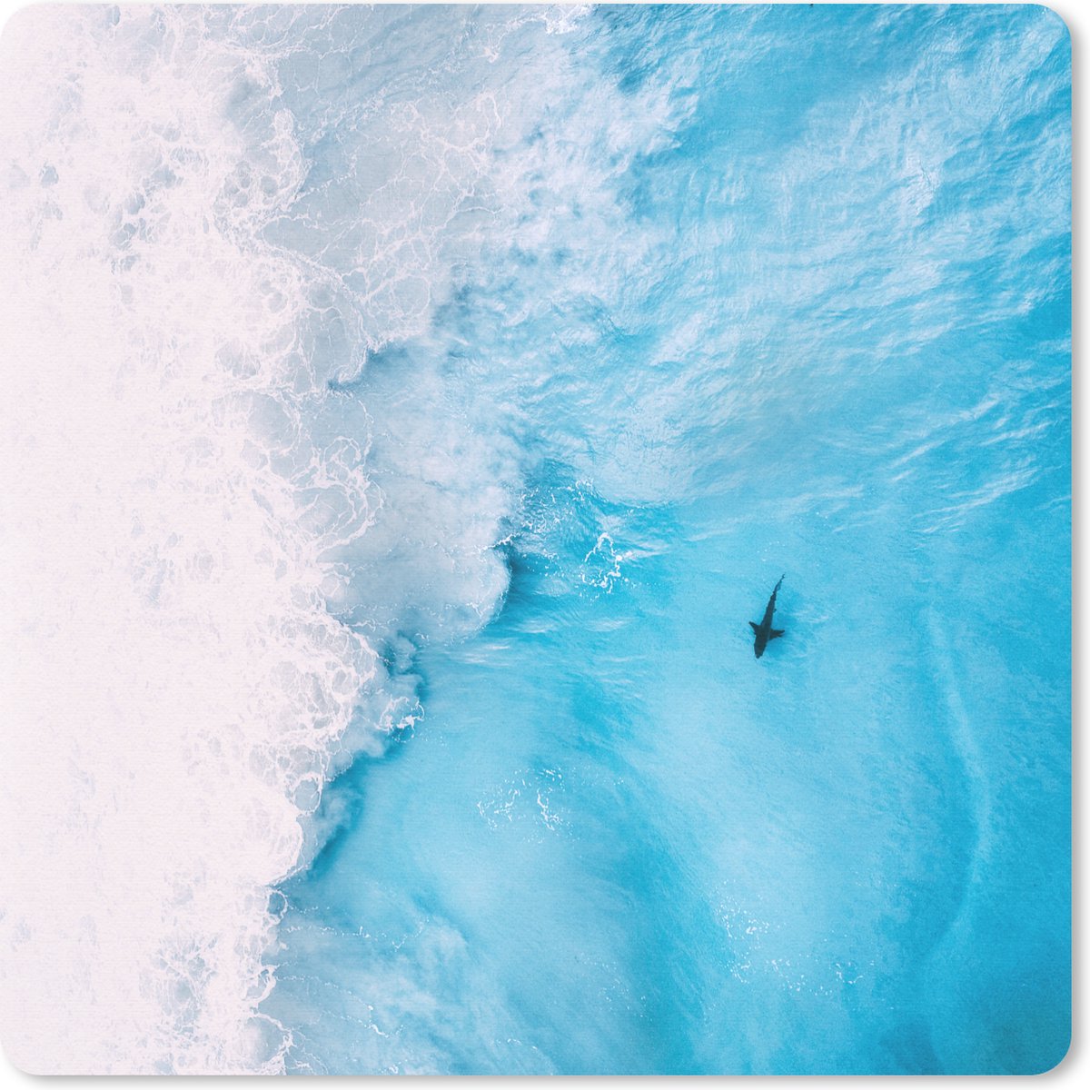 Muismat 20x20 cm - Mousepad Dieren - Zee - Schuim - Muismatten