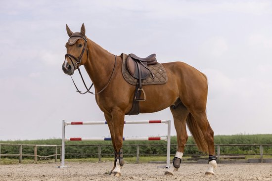 Tapis de selle Equi-Theme Oslo Marron - Tenue intégrale | bol.com