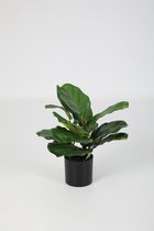Fiddle leaf kunstplant - vioolbladplant - topkwaliteit plant - kamerplant - 41 cm