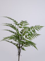 Kunsttak - Varen palm- topkwaliteit decoratie- zijden tak - groen - 75 cm hoog