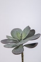 Kunsttak - Echeveria - vetplant - cactus- topkwaliteit decoratie - 2 stuks - zijden tak - groen - 19 cm hoog