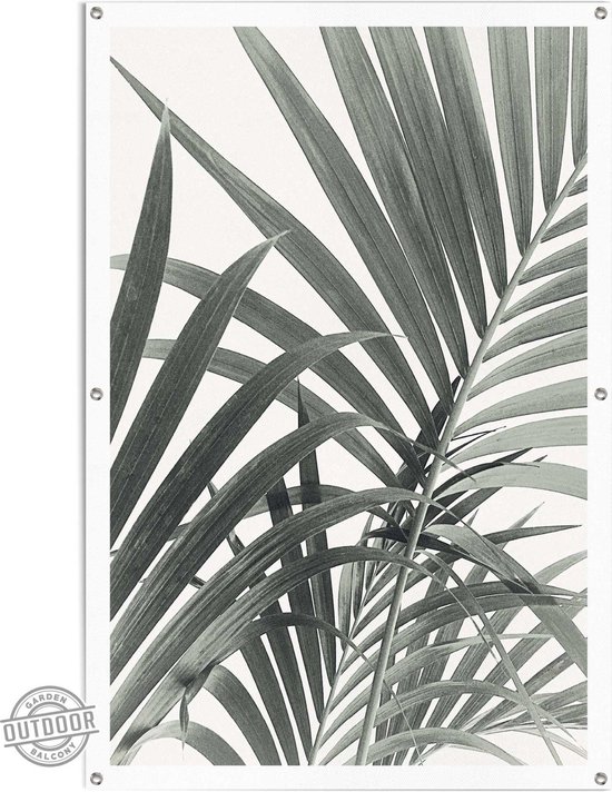 Tuinposter Palmbladeren 120x80 cm