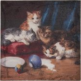 Canvasschilderij 40*2*40 cm Bruin, Rood, Wit Canvas Katten Schilderij Wanddecoratie