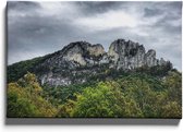 Walljar - Seneca Rocks - Muurdecoratie - Canvas schilderij