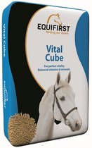 EquiFirst Vital Cube 20 kg