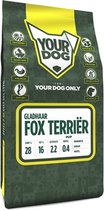 YD FOX TERRIËR GLADHAAR PUP 3KG