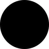 Blanco muurcirkel zwart 2 stuks 15 cm / Dibond
