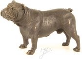 Bronzen Bulldog H X B: 8 X 13 Cm. (u) 13x5x8 cm