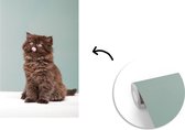 Behang - Fotobehang Perzisch kitten steek tong uit - Breedte 190 cm x hoogte 280 cm