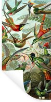 Muurstickers - Sticker Folie - Trochilidae - Oude meesters - Kunst - 20x40 cm - Plakfolie - Muurstickers Kinderkamer - Zelfklevend Behang - Zelfklevend behangpapier - Stickerfolie