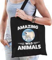 Katoenen tasje ijsbeer - zwart - volwassen + kind - amazing wild animals - boodschappentas/ gymtas/ sporttas - ijsberen fan