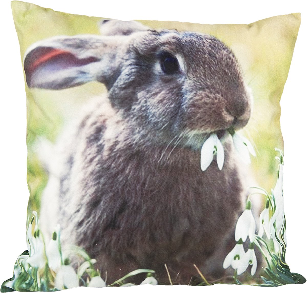 Coussin lapin arc en ciel