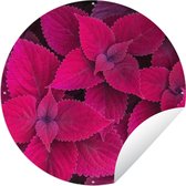 Tuincirkel Bladeren - Abstract - Patroon - 60x60 cm - Ronde Tuinposter - Buiten