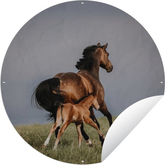 Tuincirkel Dieren - Paarden - Veulen - 150x150 cm - Ronde Tuinposter - Buiten