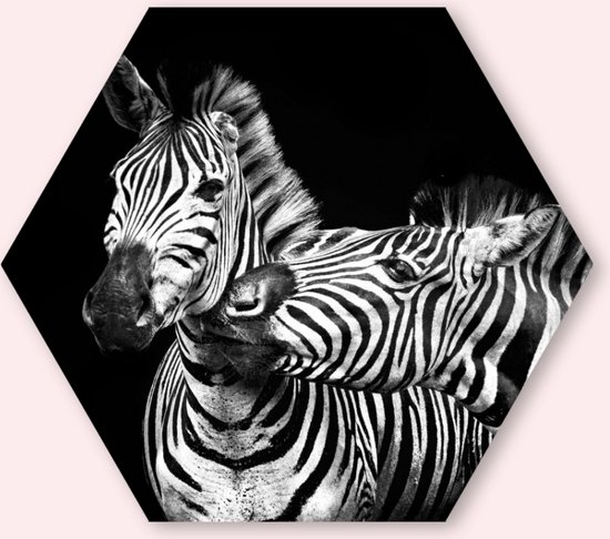 Zebra’s - 80 cm Aluminium Hexagon - Dieren - Wanddecoratie