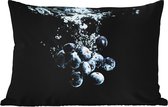 Buitenkussens - Blauwe bessen - Fruit - bes - Stilleven - Water - Zwart - 60x40 cm - Weerbestendig