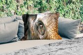 Buitenkussens - Olifant - Close up - Dieren - Natuur - 60x40 cm - Weerbestendig