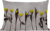 Buitenkussens - Tuin - Bloemen - Tulpen - Marmer - 50x30 cm