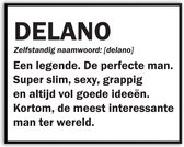 Delano Woordenboek Fotolijst met glas 30 x 40 cm - Prachtige kwaliteit - jarig - verjaardag - kado - Canvas - incl ophangsysteem - Poster - Grappig - cadeau
